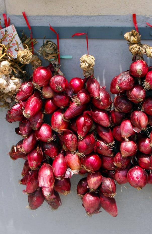 Trecce di cipolle rosse appese a un muro, legate con nastri rossi.